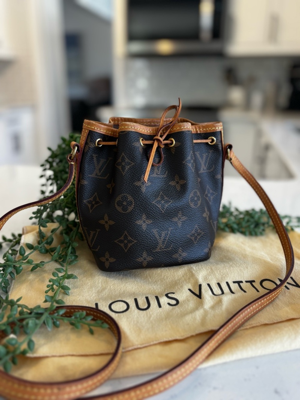 SOLD! Louis Vuitton Monogram Mini Noé Bucket Crossbody